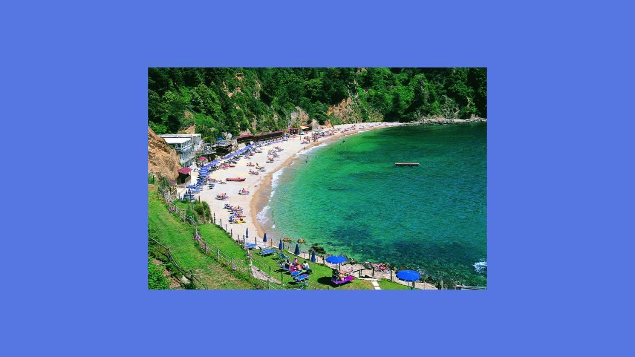 L'Oasi Tra Mare E Monti Villa Lerici Eksteriør billede